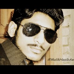 Malik Hasib Awan