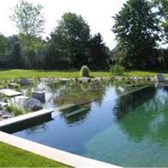 a1poolservicehiltonhead