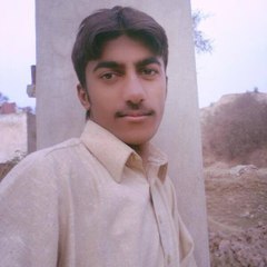 Rustam Ammar(Chaudhry)