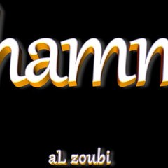 mohammad alzoubi