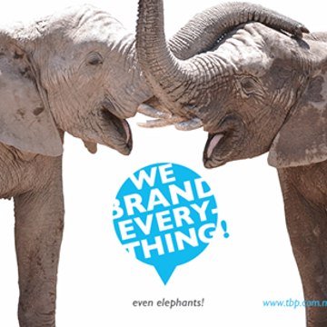 TBP - The Branding People