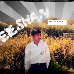 Zeeshanahmed4435