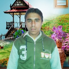 Humza Ali Shahid