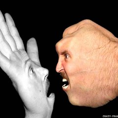 Funny Videos