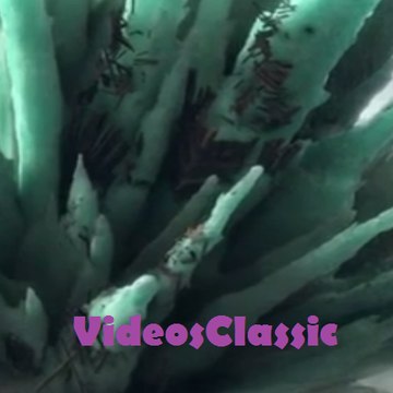 VideosClassic