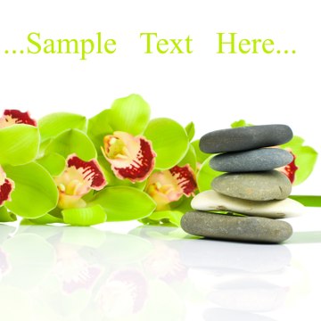 Jamille Lanford