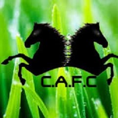 C.A.F.C Equitation
