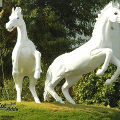 apnakotaddu