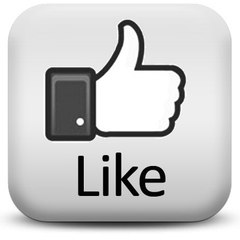 Pakistan Political Crime News