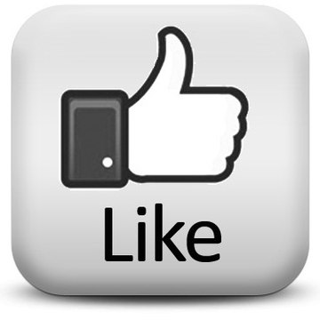 Pakistan Political Crime News