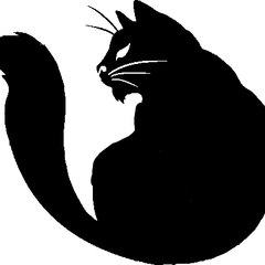 Darkcattstudios