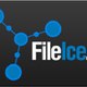FileIceSurveyBypass