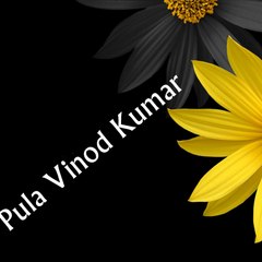 Pulavinodkumar