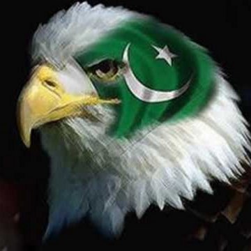 Pakistan Falcon