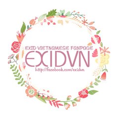 EXIDVN SUBBING TEAM - LEGGO TEAM