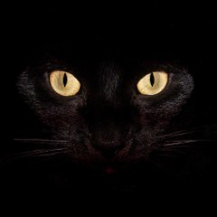 A_zebmml