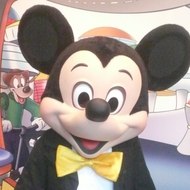 TheDisneyToyCollector