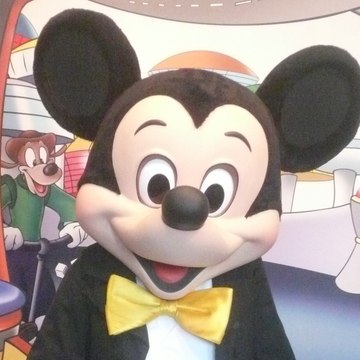 TheDisneyToyCollector