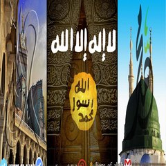 Lionsofallah786