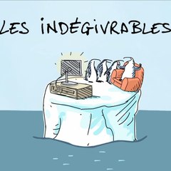Les Indégivrables