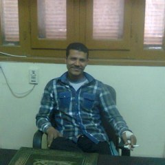 صابر المصرى