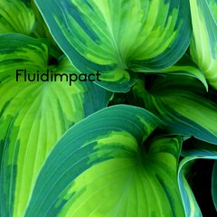 FluidImpact
