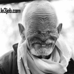 halamb