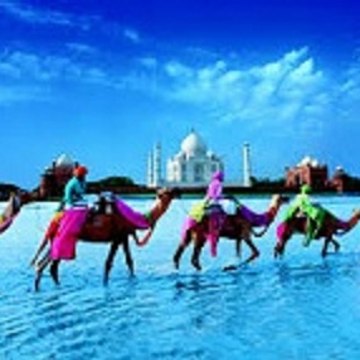 Pankaj Jha Mbs