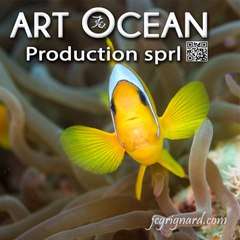Art Ocean Production