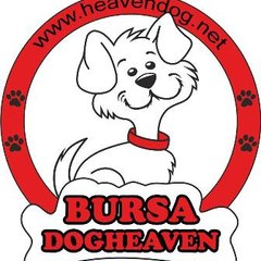 Bursa Köpek Çiftliği
