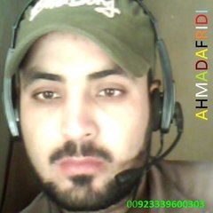 Ahmadafridipk