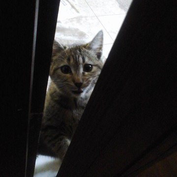 Cumartesi Dizileri