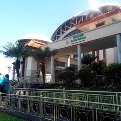 Mustofa Mahmud