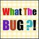 What The Bug ?!