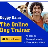 DogTrainingGuru