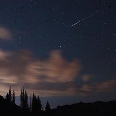 Jaritza Flores-Garcia