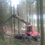 Travaux forestiers broyage Tom BLG