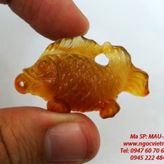 Trang Nguyên