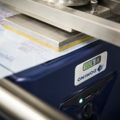 Ngọc Đức Domino