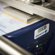 Ngọc Đức Domino