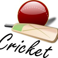 CricketInside