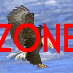 Videofy Zone