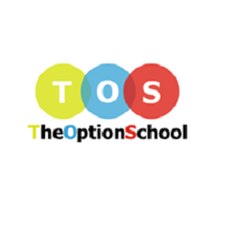 Optionschool