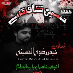 haider rizvi