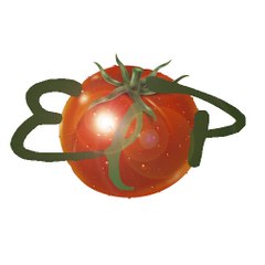 Evviva La Pappa !