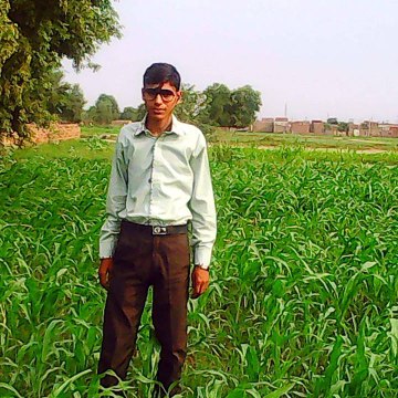 Ali Waqas