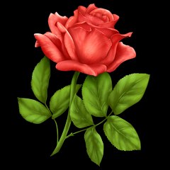 keerthana_sa