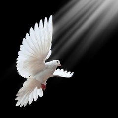 Sow Good Seed