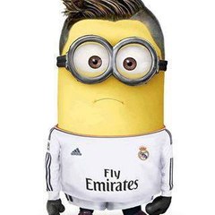 Sayarrynimarin
