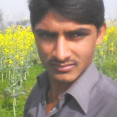 Umerhayatsaqi